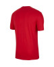 Koszulka Nike Polska Tee Evergreen Crest JUNIOR CU1212-611